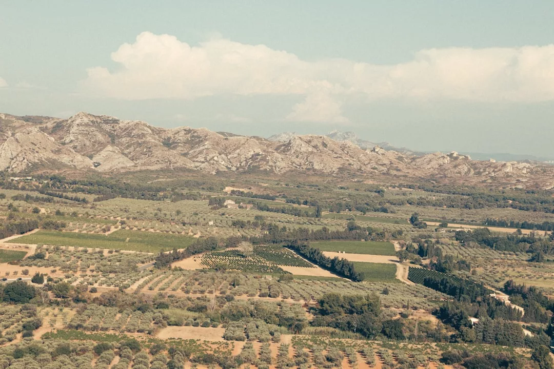 Photo bodegas Mallorca