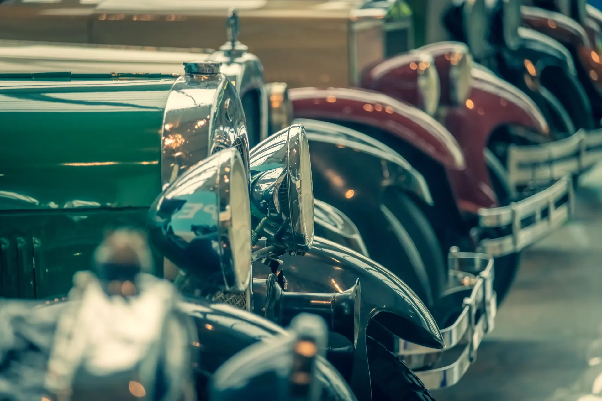Featured image for 'Observaciones exclusivas de animales en la naturaleza salvaje' — Laxary
